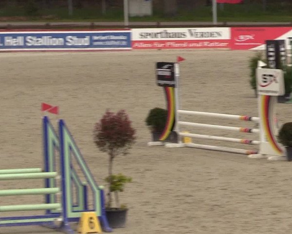 Reitturnier Westergellersen 2021