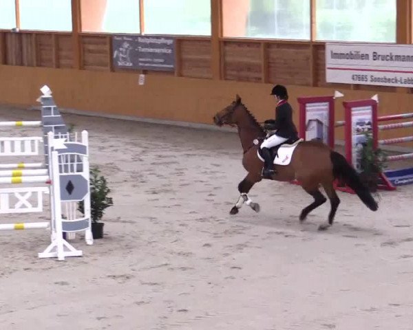 dressage horse Lardina (Westphalian, 2003, from Larenco)