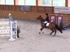 dressage horse Lardina (Westphalian, 2003, from Larenco)