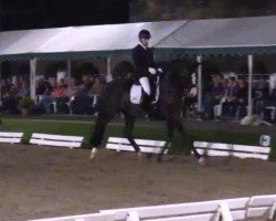 dressage horse Alina VI (Trakehner, 2003, from Gribaldi)