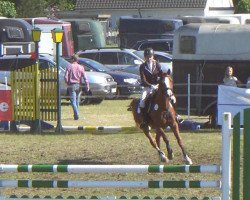 jumper Jambo N (German Riding Pony, 2006, from Eiluns Jonas)