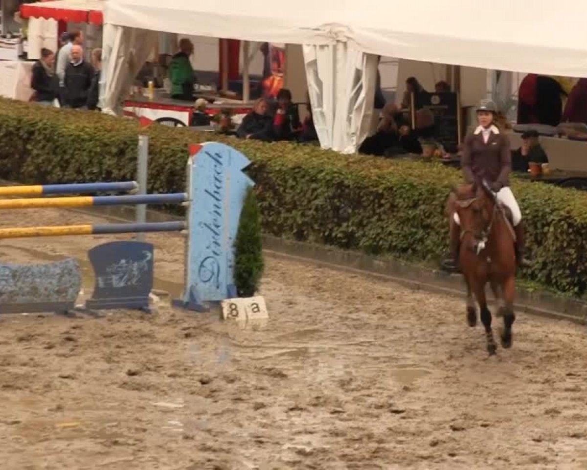 Zuchtstute Uppsala (Belgisches Warmblut, 1997, von Lys de Darmen)