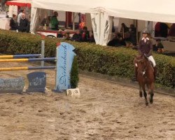 broodmare Uppsala (Belgian Warmblood, 1997, from Lys de Darmen)