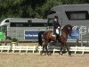 dressage horse Florestier (KWPN (Royal Dutch Sporthorse), 2001, from Freestyle)