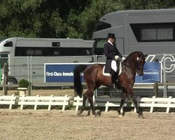 dressage horse Florestier (KWPN (Royal Dutch Sporthorse), 2001, from Freestyle)