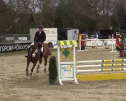 jumper Zo Wie Zo (KWPN (Royal Dutch Sporthorse), 2004, from Content)