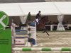 jumper Larkanaro (Hanoverian, 2000, from Landclassic)