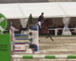 jumper Larkanaro (Hanoverian, 2000, from Landclassic)