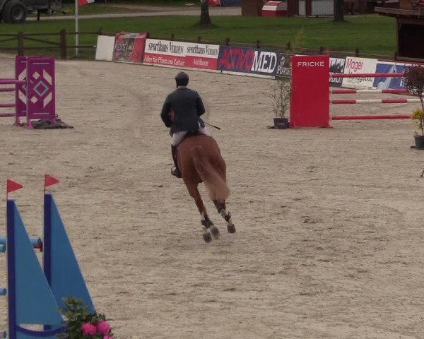 Reitturnier Westergellersen 2021