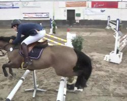 jumper Penelopp N L (Luxembourg horse, 2002, from Pik Solo)