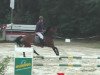 jumper Rijanna (Hanoverian, 2002, from Ramires)