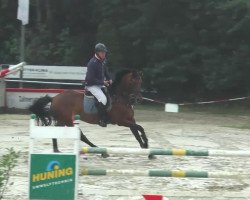 jumper Rijanna (Hanoverian, 2002, from Ramires)