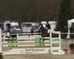 jumper Blanca 56 (KWPN (Royal Dutch Sporthorse), 2006, from Heartbreaker)