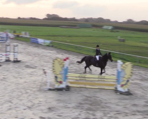Springreitturnier Hohburg 2021
