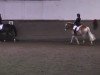 dressage horse Champus (German Riding Pony, 1995, from Chantre B)