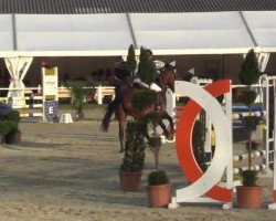 dressage horse Florinio (Hanoverian, 2009, from Fürstenreich)