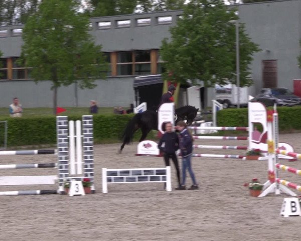 Reitturnier Neustadt/Dosse 2021