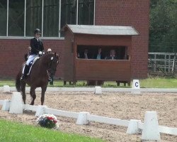 dressage horse Fifty-Fifty 17 (Westphalian, 2002, from Florestan I)