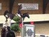 jumper Pearl 67 (Hessian Warmblood, 2001, from Pharis)