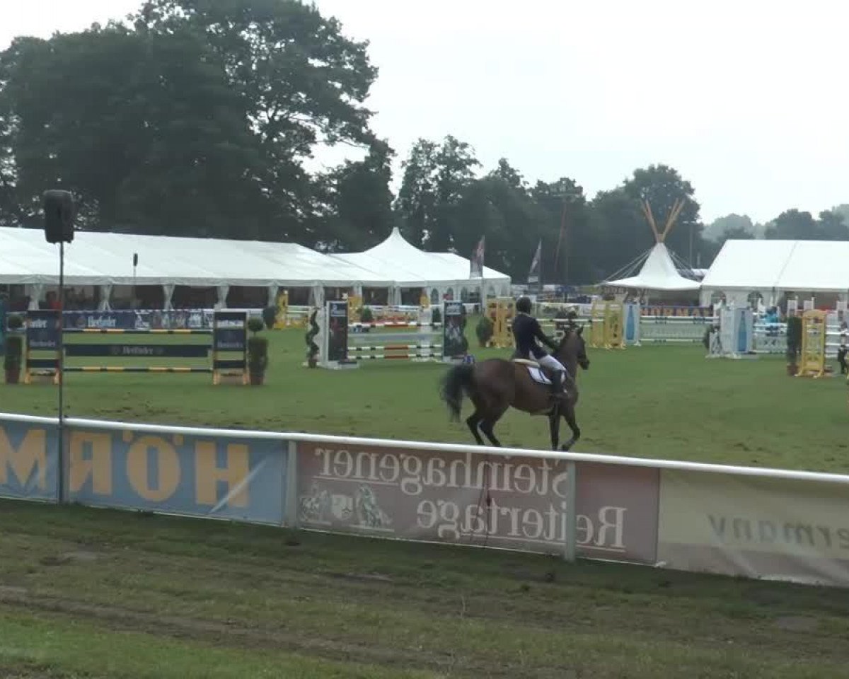 Zuchtstute Landleandra (Oldenburger, 2004, von Landcapitol)