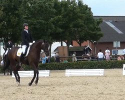 dressage horse Ronaldo (Westphalian, 2006, from Real Diamond)