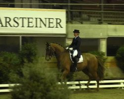 dressage horse Quo Vadis 33 (Oldenburg, 2000, from Quattro B)