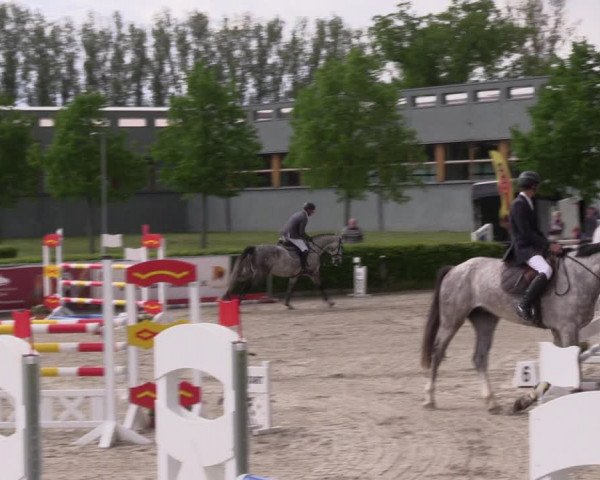 Reitturnier Neustadt/Dosse 2021