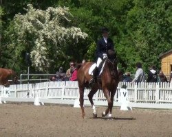 dressage horse Forever Matcho (Westphalian, 2001, from Florestan I)