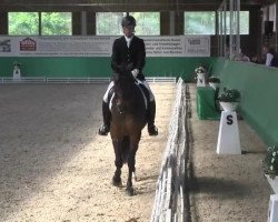 dressage horse Seraphino 4 (Oldenburg, 2006, from Serano Gold)