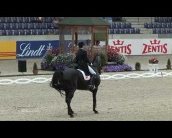 dressage horse Faberge (Hanoverian, 1996, from Falkland)