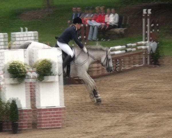 jumper Chapeau Claque 26 (German Riding Pony, 1998, from Champagner W)