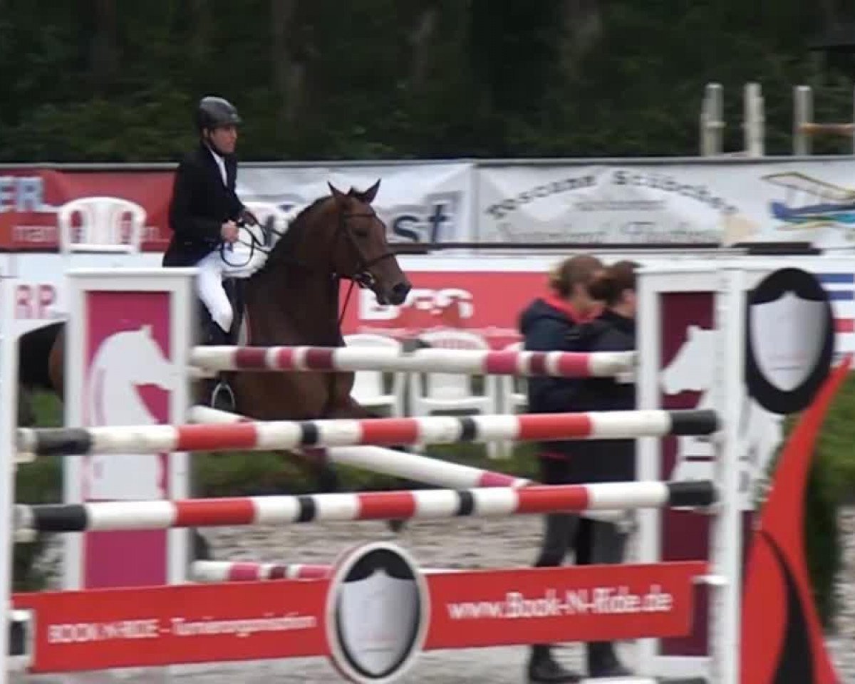 jumper Banderass (Holsteiner, 2006, from Boritas)