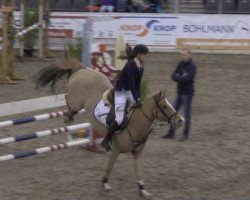 jumper Neele 21 (German Riding Pony, 2005, from Carlson)