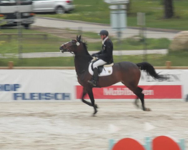Reitturnier Westergellersen 2021