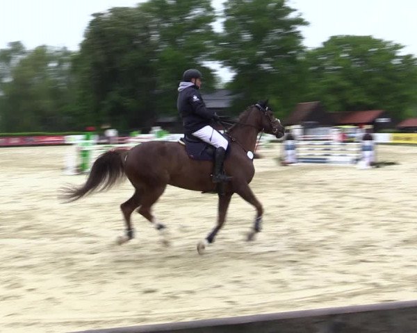 Reitturnier Münster-Handorf 2021