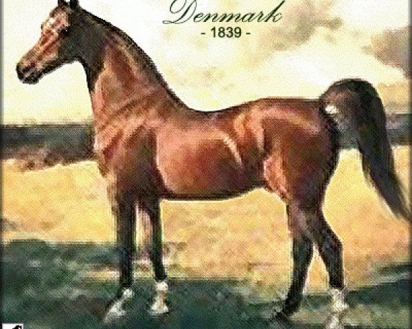 stallion Denmark 1839 xx (Thoroughbred, 1839, from Hedgeford xx)