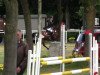 jumper Beardsley (German Riding Pony, 1999, from Brillant)