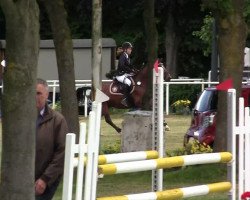 jumper Beardsley (German Riding Pony, 1999, from Brillant)