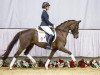 dressage horse Viva la Vida (Westphalian, 2011, from Vitalis)