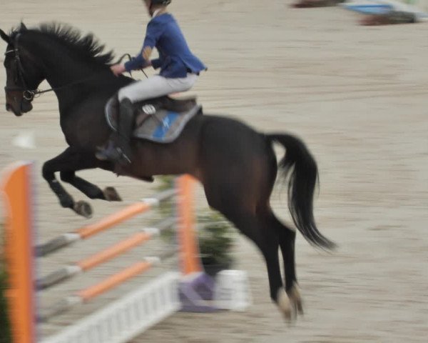 Reitturnier Westergellersen 2021