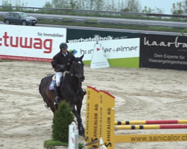 Reitturnier Wädenswil 2021