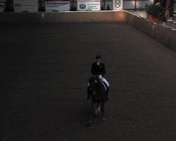 dressage horse Lauriena 2 (Hanoverian, 2005, from Londonderry)