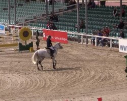 Springpferd Sundays Quintina (Pony ohne Rassebezeichnung, 2009, von Nuts)