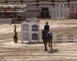 jumper Crazy but sweet (German Sport Horse, 2009, from Coeur de Caramel)