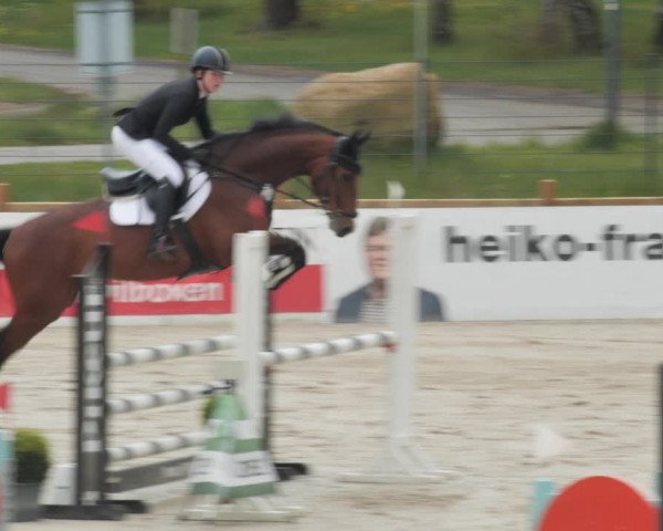 Reitturnier Westergellersen 2021