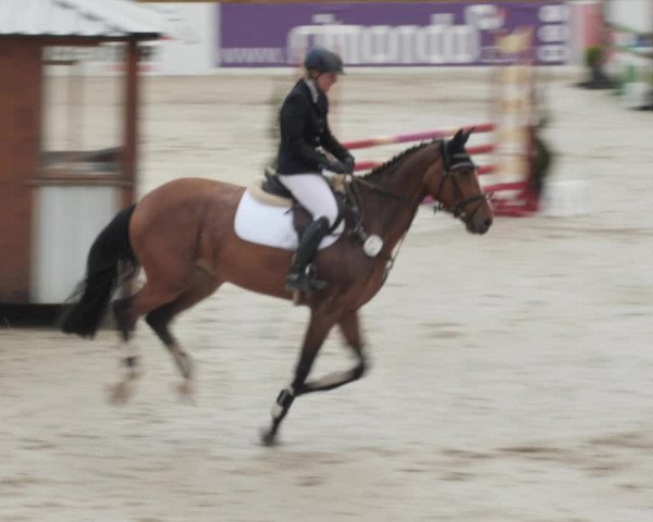 Reitturnier Westergellersen 2021