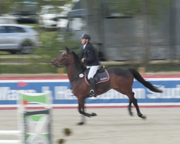 Reitturnier Westergellersen 2021