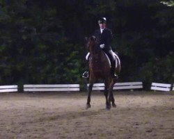 dressage horse Abacanto 2 (Oldenburg, 2002, from Acorado I)