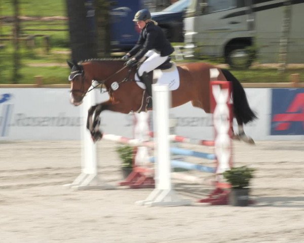 Reitturnier Westergellersen 2021