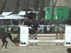 jumper Coco (Hanoverian, 2007, from Contendro I)